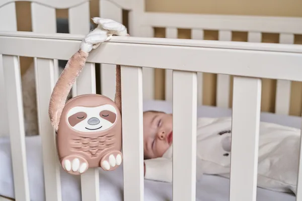 Sloth in a crib